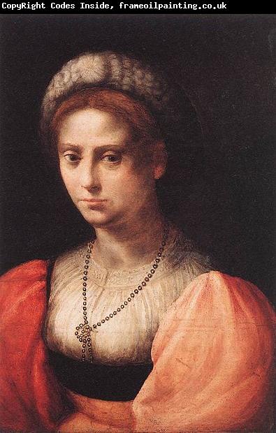 Domenico Puligo Portrait of a Lady